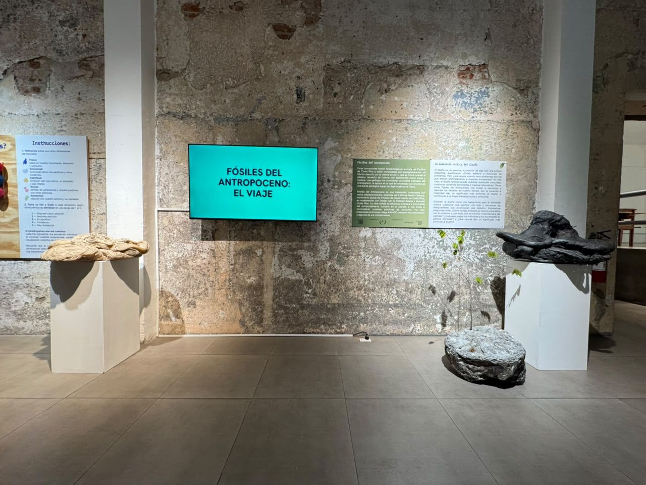 Three plastiglomerates at the MADC in San José: a pale mass and a black mass on white plinths against a bare historic wall, a grey mass on the floor with a plant growing out of it, and a screen reading Fósiles del Antropoceno: El Viaje